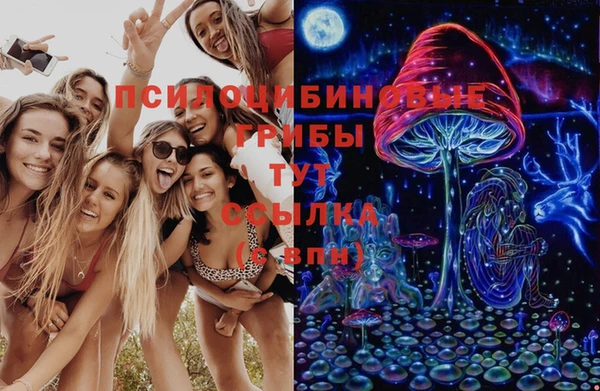 бутират Алзамай