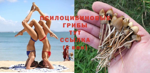 бутират Алзамай