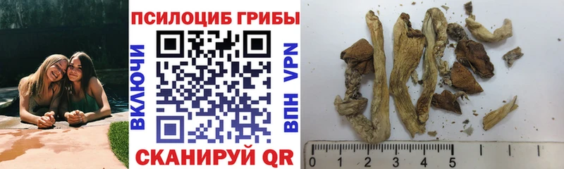 Галлюциногенные грибы Psilocybe  Усинск 